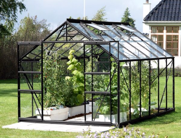 Greenhouse Vitavia Jupiter 9900