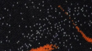 Kangas 406A