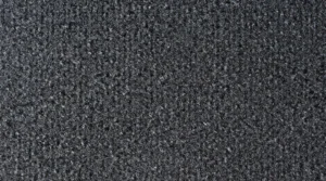 Kangas 0006 5059