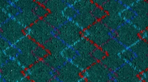 Kangas 0019 1506