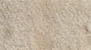 Kangas 821