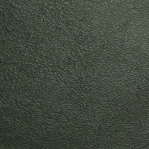C CONGO 9845 VERDE