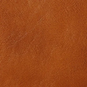 C CONGO 9259 NOCCIOLA
