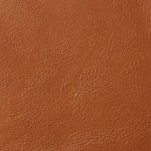 C CONGO 9258 CHESTNUT