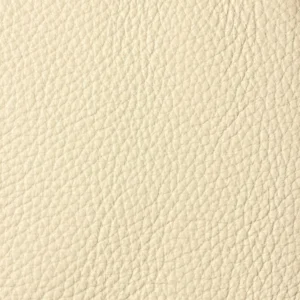 T TIMELESS 9760 CHAMPAGNE