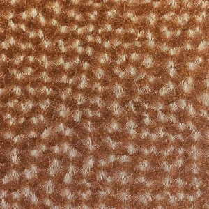 Kunstnahk K1 238X3341