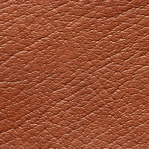 Kunstnahk K1 207X784