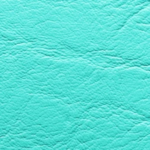 Kunstnahk K1 208X797