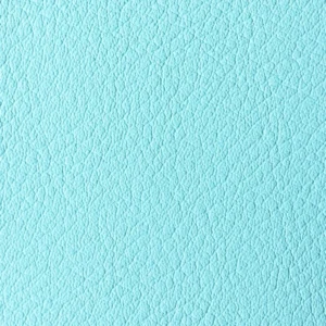Kunstnahk K1 208X2389