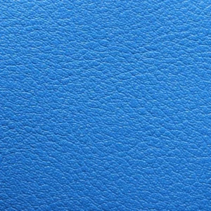 Kunstnahk K1 208X2390