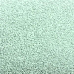 Kunstnahk K1 208X2797