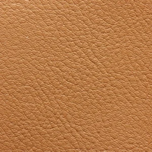 Kunstnahk K1 208X4177