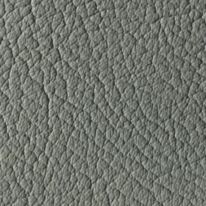 Kunstnahk K1 218X1633