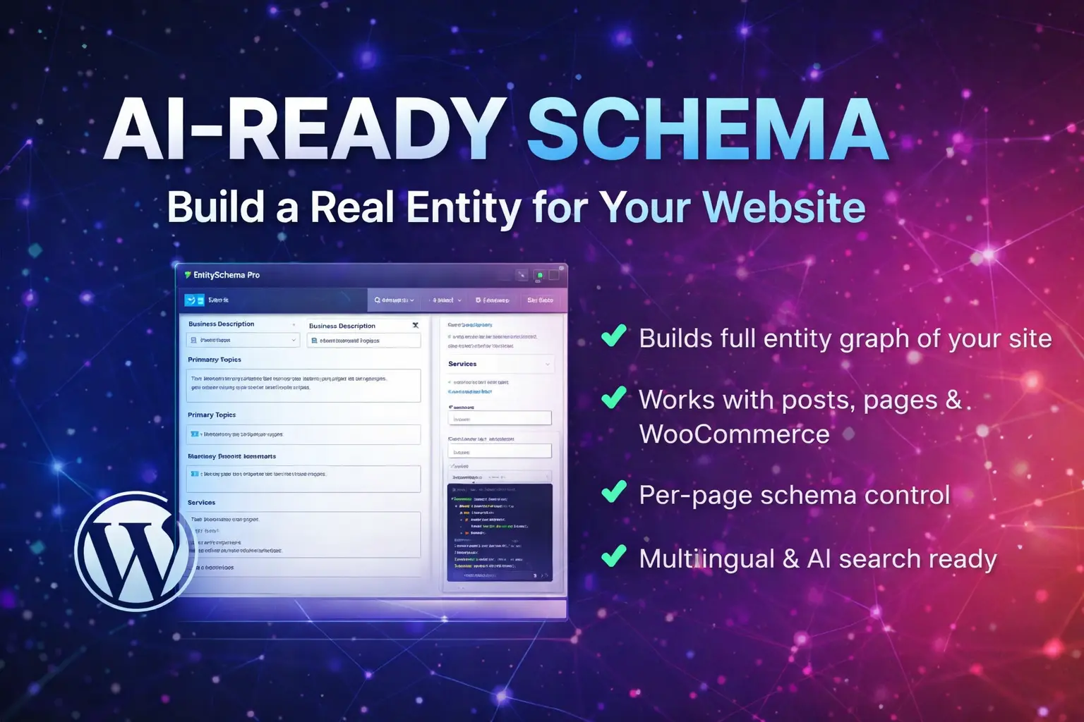 WordPress schema plugin dashboard preview
